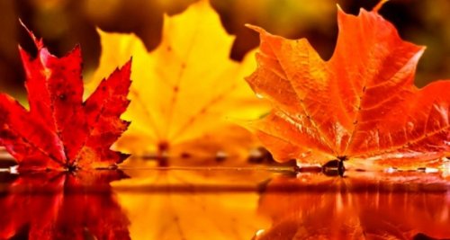 1569217246_main_slider_fdba601a141